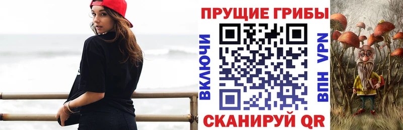 Галлюциногенные грибы Psilocybe  Рудня 